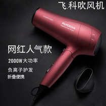 Feike hair dryer high-power hair dryer hair salon household negative ion hot and cold wind blower 2200W