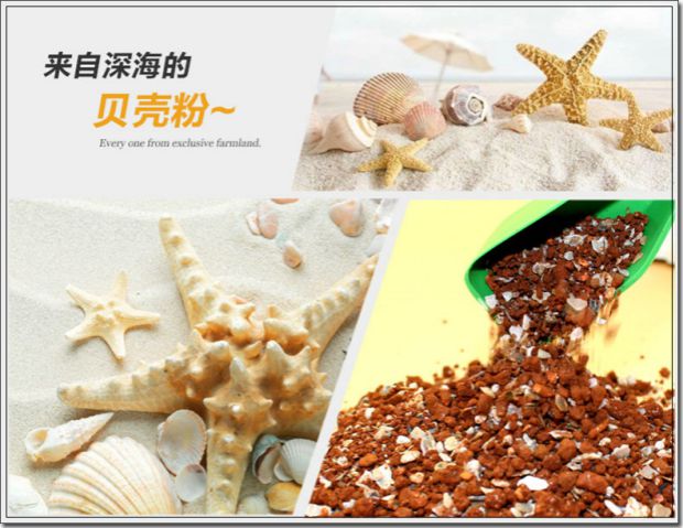 Lồng chim khử trùng dinh dưỡng chim bồ câu thức ăn sức khỏe cát hói đất đỏ bổ sung thức ăn cho chim cung cấp hạt canxi - Chim & Chăm sóc chim Supplies máng cho gà ăn