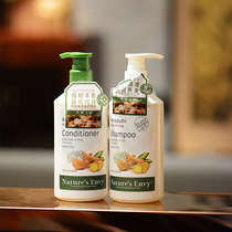 American natural title ginger no silicone oil Amino Acids Shampoo wild ginger tea tree herbage Aloe Vera