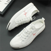 Spring new thin-faced embroidered canvas shoes mens youth fashion opening laughing trend board shoes breathable white shoes men