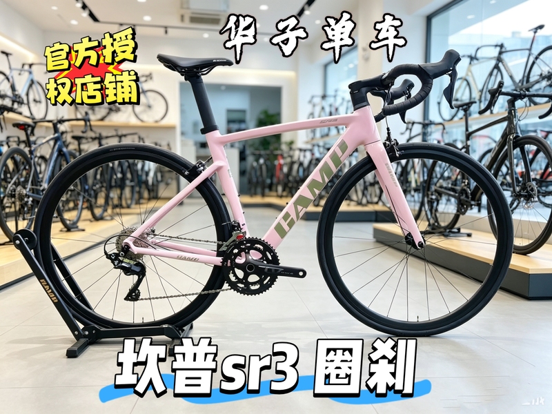 Camp Sr3 22-Speed 105 Rim Brake/Disc Brake Road Bike Carbon Fiber Front Fork Ultra-Light Variable Speed Bicycle