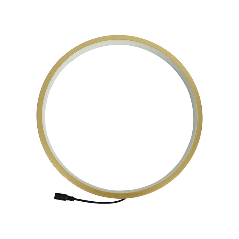 Golden Led Light for Living Room, God of Wealth Position, Luminous Light Ring, Buddha Niche Halo Ring, Decorative Zen Light, Dimmable Warm Light