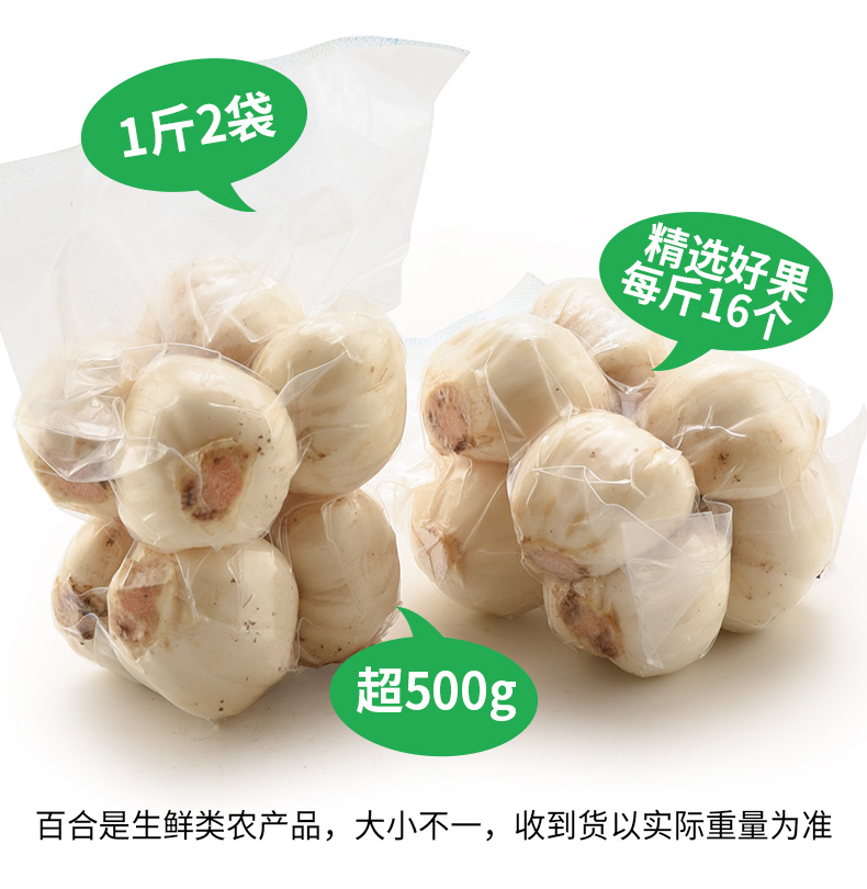 吉叔 兰州八年生 新鲜甜百合 500g 约16个 图5