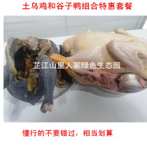 Xiangxi soil black chicken and millet duck special combination package Zhijiang millet chicken millet duck is very affordable