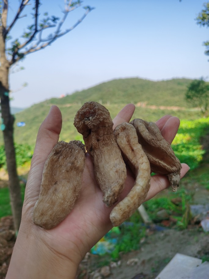 The wild is 500 grams of naturally
