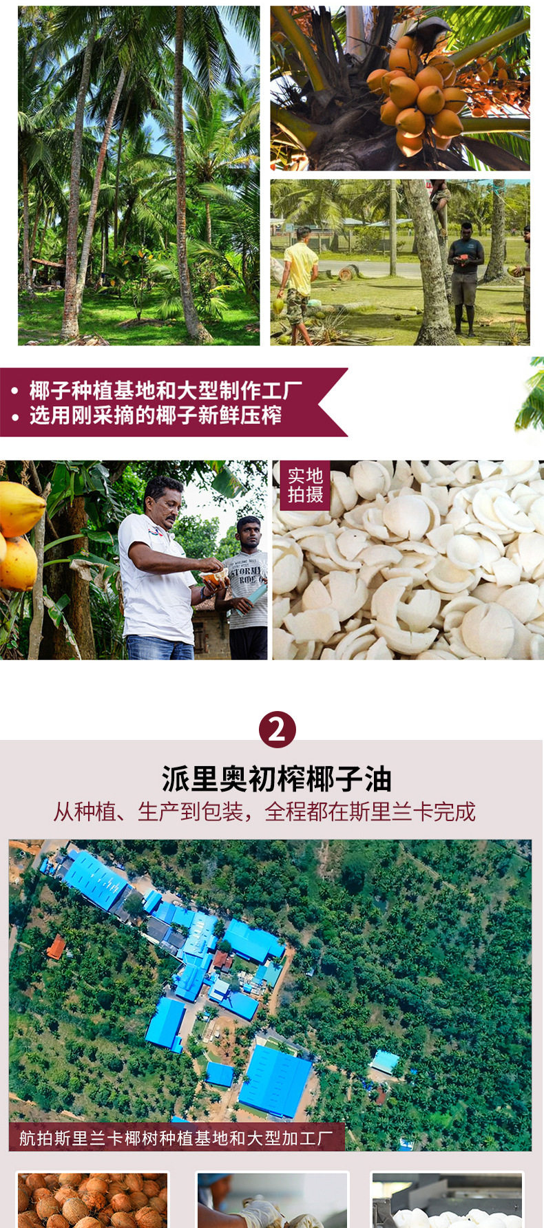 Палио Вирджин 130_04