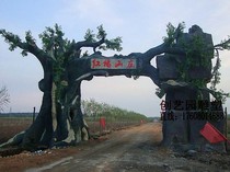 Cement large-scale straight plastic simulation tree door head landscaping Zhaocai tree garden tourism area decoration cement decoration door
