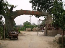 Cement rockery fake tree simulation tree gate peach tree cherry tree rockery fortune tree park decoration