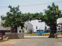 Rockery fake tree cement tree gate head peach tree cherry tree door tourist area club bar decoration theme landscape