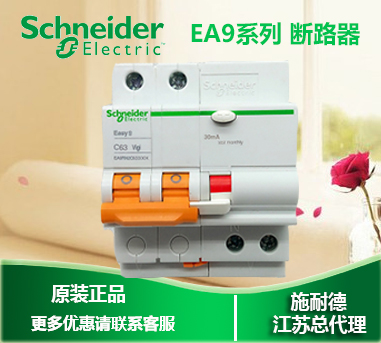 (Original)Schneider leakage circuit breaker leakage protection EA9 series 2P C10A EA9RN2C1030C
