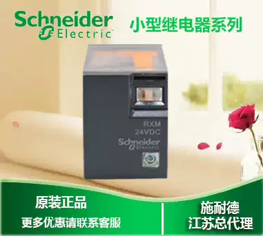 (100% original)Schneider Schneider Small relay RXM4LB2BD DC24V