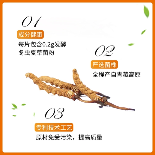 圣傲 Пороть таблетки 90 таблеток, чтобы питать легкие и почки и питать сущность и кашель ци, астму, боль в пояснице, медленные ветви, содержащие грибные порошок cordyceps sinensis