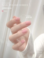 A006_ Hibiscus Flower Dew