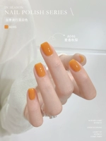 A046_Maton Xiangqiu Pear