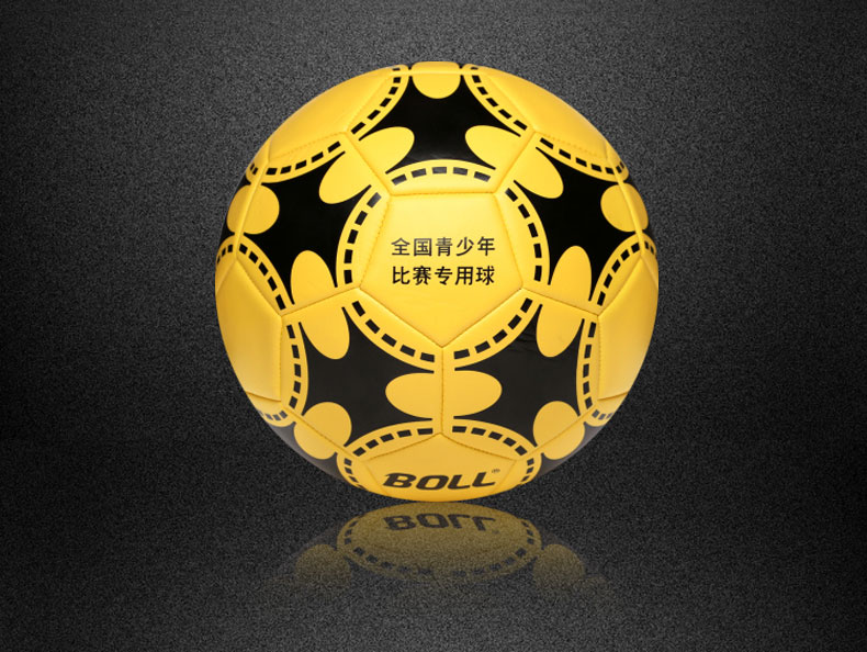 Ballon de football - Ref 7486 Image 12