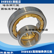 Harbin HRB cylindrical roller bearings NU NJ 2318 2319 2320 2322 2322 EM ECP C3