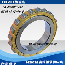 Harbin HRB cylindrical roller bearing NUP RN210 211212213 E EM ECP C3