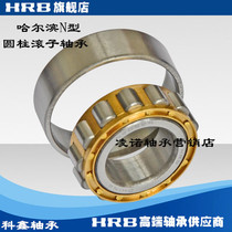 Harbin HRB cylindrical roller bearing N NF 2314 2315 2316 2316 2317 E EM ECP C3
