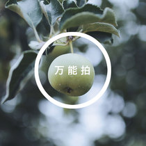 DAOGU) Postage giveaway universal shot