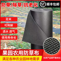  Degradable grass-proof cloth weeding cloth Durable agricultural land cloth Orchard fruit tree new ecological non-woven fabric grass-proof film