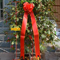 Hanging on top of the green plant red festive decoration Daji flower basket ribbon extended pull flower streamer flower blue belt