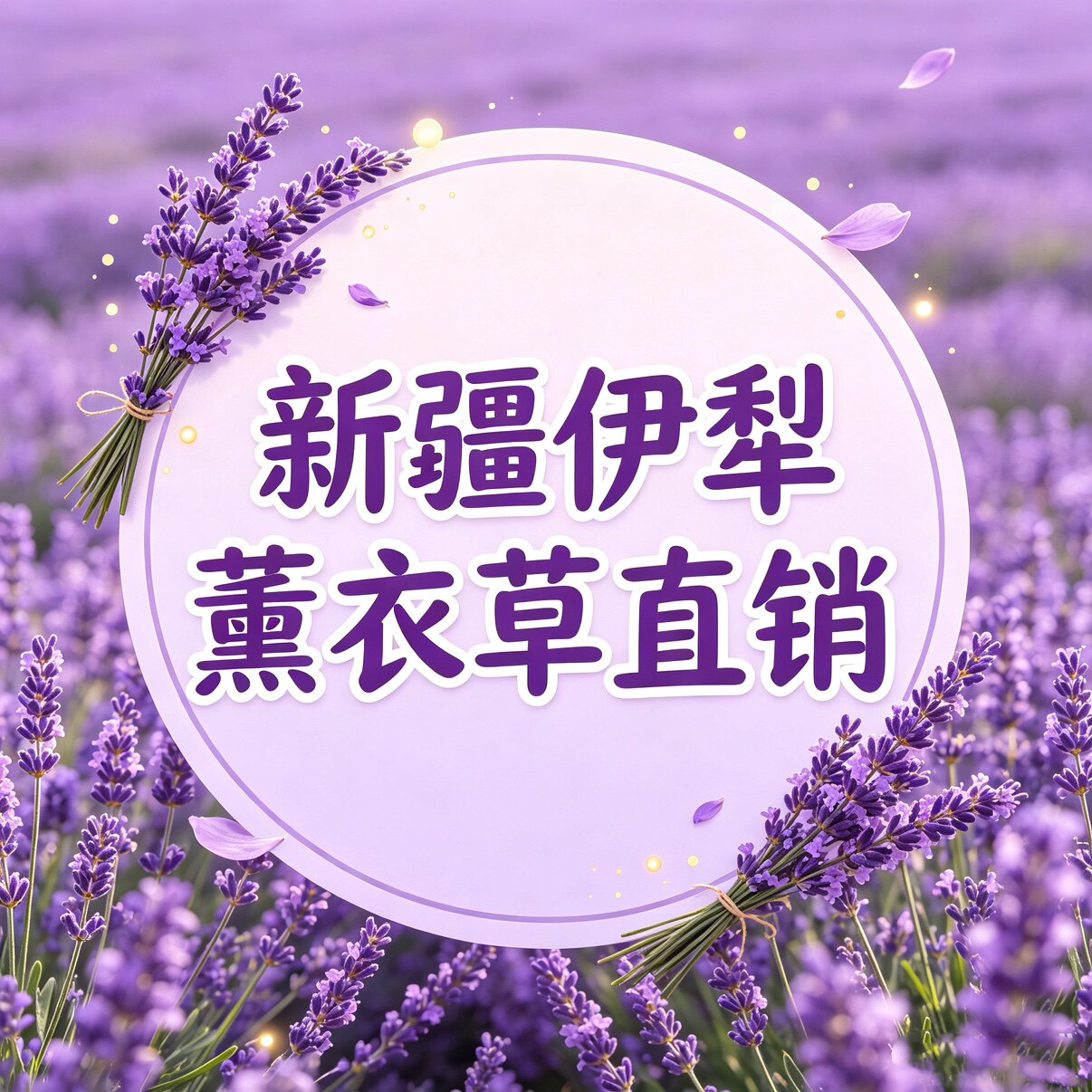 新疆伊犁65团薰衣草基地实体店直销的LOGO