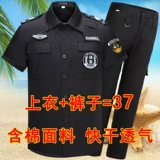 Осенний комплект, лонгслив, униформа для работы