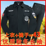 Осенний комплект, лонгслив, униформа для работы