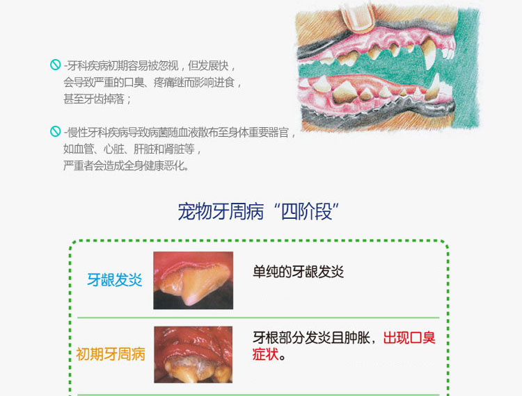 Pháp Dog Dog Dog Làm sạch răng Kem đánh răng Pet Cat Dog Ngoại trừ hôi miệng Sản phẩm làm sạch Răng đẹp bàn chải lông cho mèo