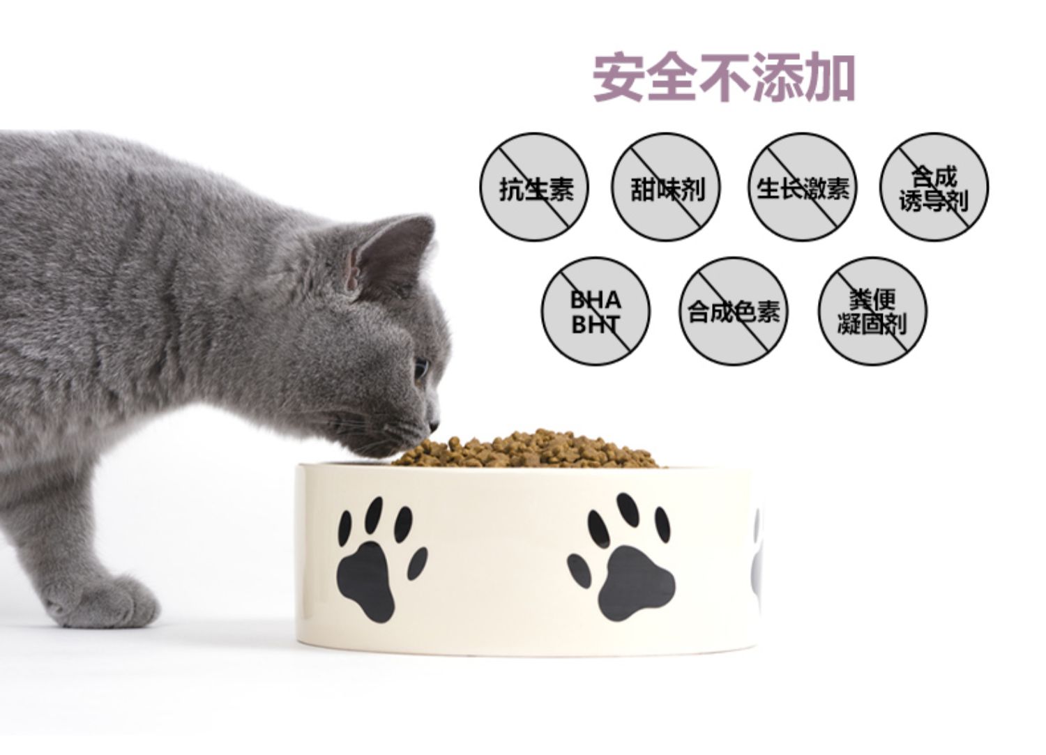 Thức ăn cho mèo mèo trong nhà của bijiji nặng hơn 2kg so với thức ăn cho mèo St. Regis làm đẹp ngắn Anh cộng với kiểm soát bóng lông mèo Philippines - Cat Staples thức ăn cho mèo con