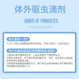 Drop Dog Dog Dribles Внешние капель