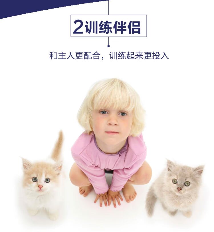 Yi Nuo Cat Đồ ăn vặt Thịt gà Cá hồi Tiếng Anh Tiếng mèo ngắn Đào tạo Phần thưởng Đồ ăn nhẹ Nhỏ Thịt vỗ béo - Đồ ăn nhẹ cho mèo mèo ăn hạt có tốt không