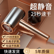(Vegan Recommendation) Hair Dryer Domestic Negative Ion Hair Care Millet Speed Dry Without Injury Power Generation Hair Dryer Cold Hot Air