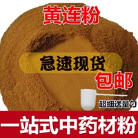 Потребление порошка Coptis of Chuan Huanglian порошок куриные ножки Huanglian китайская медицина Huanglian порошок продает порнографический порошок отдельно