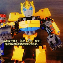 Muzhen Buddha card Thai jewelry Thailand Thai crafts home decoration pendant to make up the difference