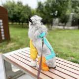 Одежда для домашних животных, четвероногие штаны для защиты от грязных ног, брюки для защиты от пыли, мочи и грязи, брюки для ног Тедди Шнауцера