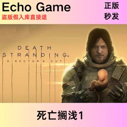 Steam Death Stranding Director's Cut Edition Death Stranding China Region Genuine Activation Code Cdk