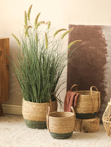 Green bottom two-color woven basket living room floor-standing flower pot set home decoration double-ear handmade cattail basket