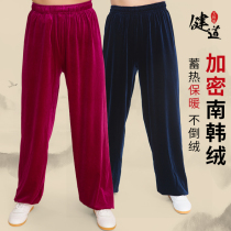 Gold velvet tai Chi pants womens thickened tai chi suit mens martial arts training pants Autumn and winter South Korea velvet Tai Chi training pants