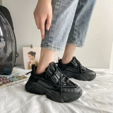 Tide, спортивная обувь для отдыха, демисезонные универсальные туфли, 2020 года