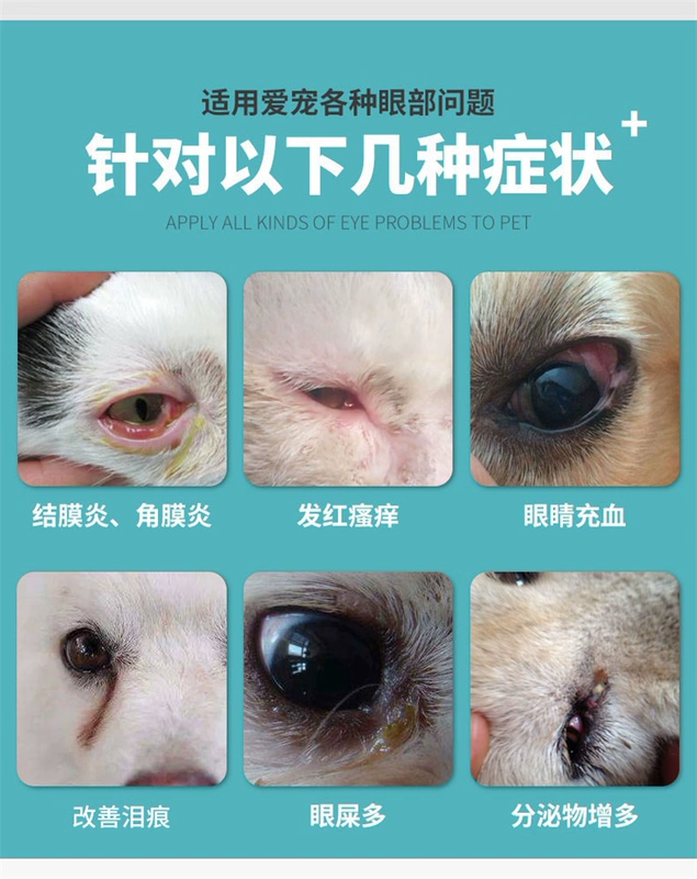 Golden Shield Runkang Eye Drops Pet Dog Cat Eye Potion To Tear Mark Kháng khuẩn kháng viêm Mắt mèo Thuốc nhỏ mắt - Thuốc nhỏ mắt