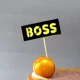 Boss Pluging Card 5 штук