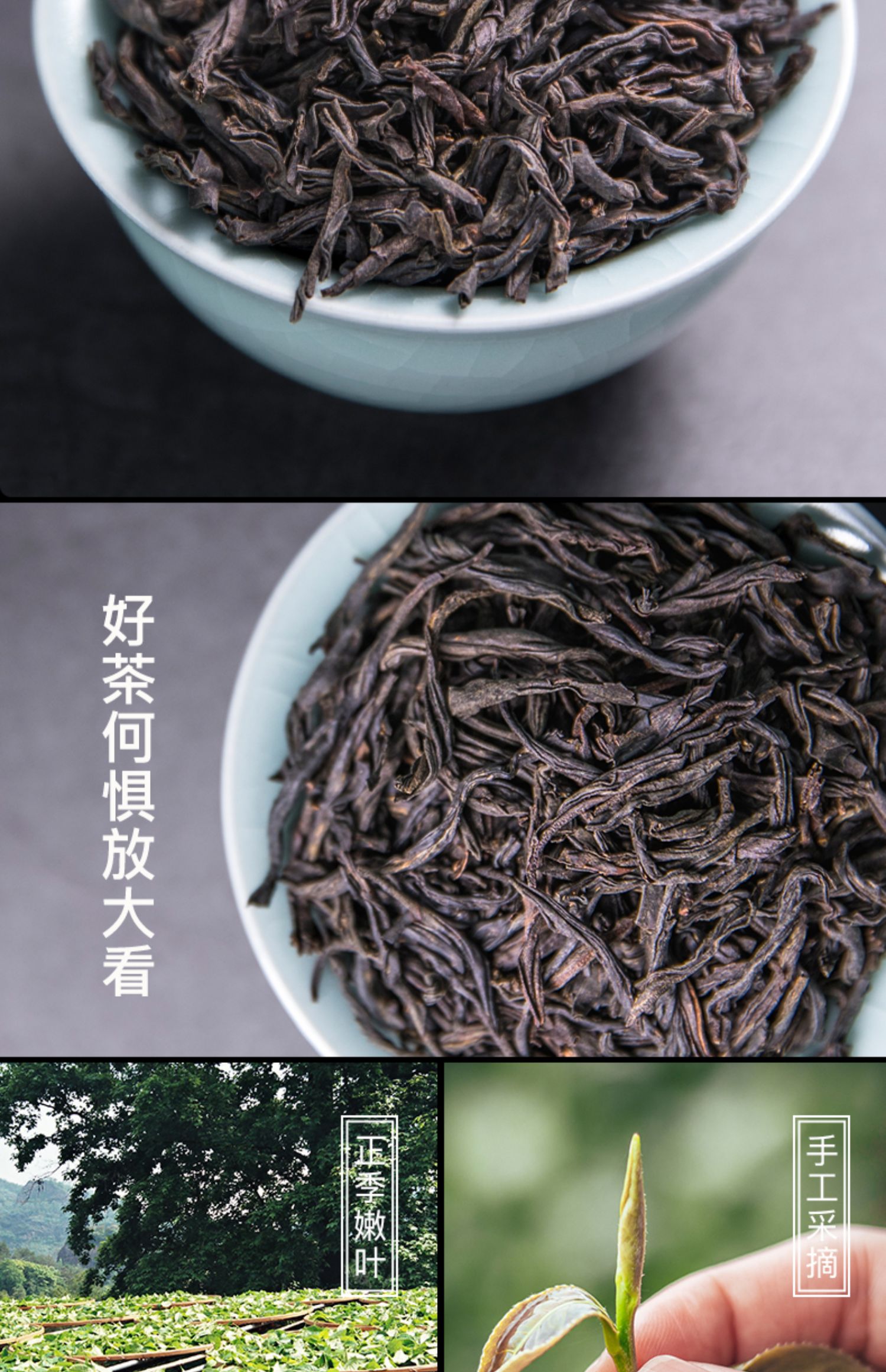 秒杀【木冠】正山小种武夷红茶罐装100g