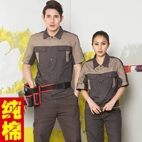 Верблюд серой