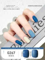 G267 Цвет радужной оболочки