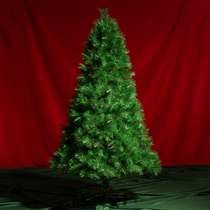 Pine needle Christmas tree holiday 1 2 meters 1 5 meters 1 8 meters ornaments simulation christmas tree home decoration