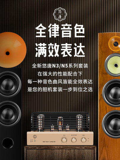Youtang N3 N5 Audiophile-Grade Hifi Pure Tube Amplifier Floor-Standing Speaker Combo Set Home Amplifier Floor-Standing Speaker System
