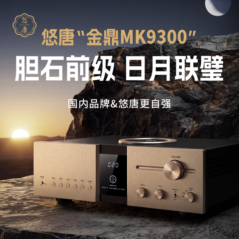 Youtang Mk9300 Fully Balanced Preamplifier Hifi Audiophile-Grade Class a Tube Audio Amplifier