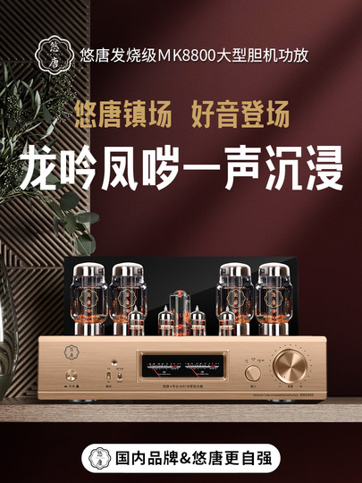 U-Tang MK8800 Röhrenverstärker HiFi-Fieberklasse KT88 Push-Pull-Hochleistungs-Reinröhren-Leistungsverstärker