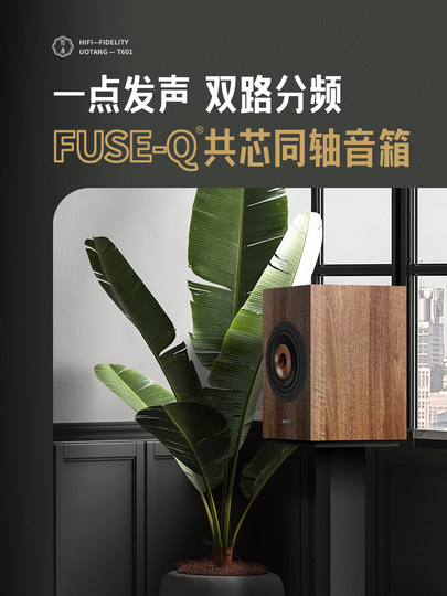 Utang T601 Koaxiallautsprecher HiFi-Fieberklasse 6,5 Zoll passive Zwei-Wege-Regalbox High-Fidelity-Audio